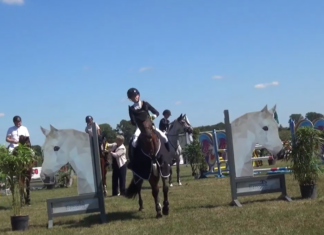 Van zomerconcours tot winterwedstrijden: De evenementen van de rijvereniging Paardesport bentelo