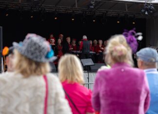 Spek & Smartlappen Festival op zondag 13 september gratis toegankelijk Sesf2025