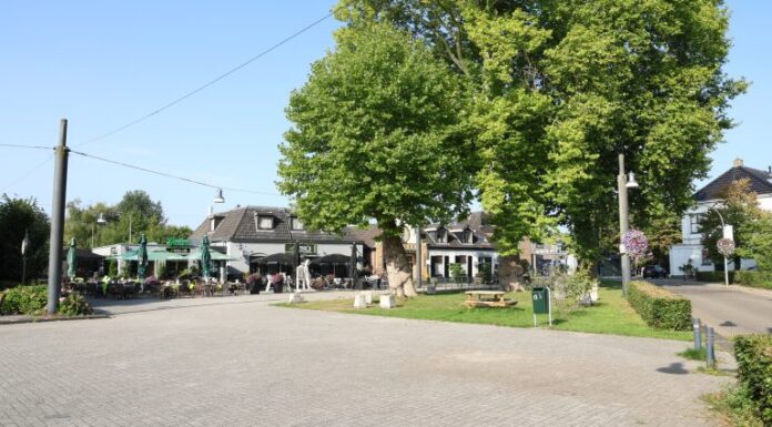 PlatanengroepDiepenheim
