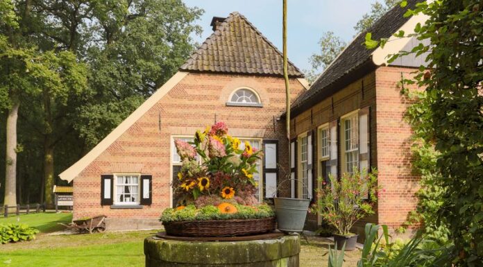 Wendezoeledagen bloemen