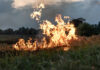 Meerdere aanhoudingen en proces-verbalen na brandstichting in Markelo en Diepenheim A fire burns in a field with dry grass.