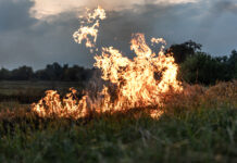 Meerdere aanhoudingen en proces-verbalen na brandstichting in Markelo en Diepenheim A fire burns in a field with dry grass.