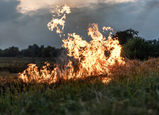 Meerdere aanhoudingen en proces-verbalen na brandstichting in Markelo en Diepenheim A fire burns in a field with dry grass.
