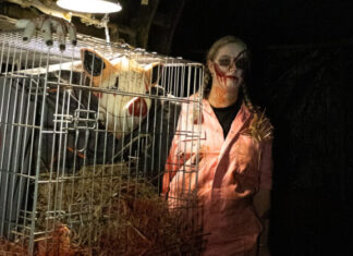 Een nachtmerrie op de kinderboerderij: Kukelnest verandert in ‘Gruwelnest’ Gruwelnest