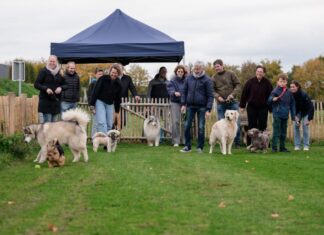Nieuw hondenlosloopveld in Hengevelde geopend door wethouder Doeschot Hondenlosloopveldhengevelde