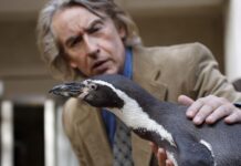 ‘The Penguin Lessons’ te zien bij Het Beaufort in Markelo Penguin